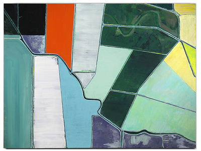 Sand Slough Road abstract ariel view california central valley from above painting wall art