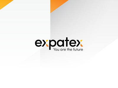 expatex - Brand Identity Design & Strategy alexandru marian branding design futuristic healthcare identity logo recruitment