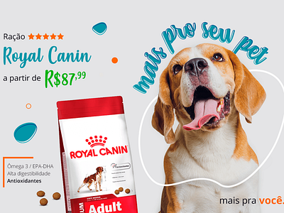 Key Visual - Campanha Mais pro seu pet branding desiginspiration design key visual pet design