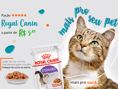 Key Visual + Produto branding desiginspiration design key visual pet design