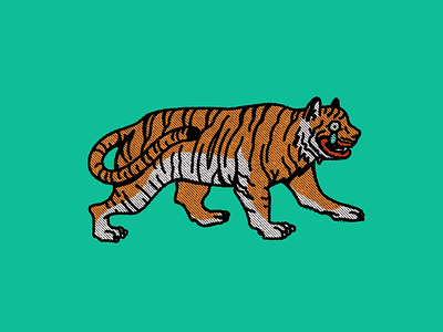 Lonely tiger