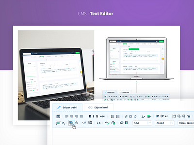 CMS Text Editor