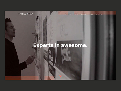Tayloe/Gray Website brand refresh redesign tayloegray ui design ux design web design
