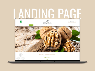 Landing Page : Noix / Nuts