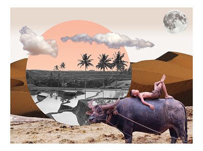 water buffalo collage illustration