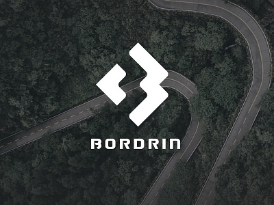 BORDRIN b car fly logo