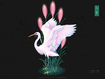《飞鸟集》-白鹭 design illustration