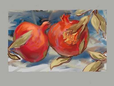 Pomegranates book illustration illustration