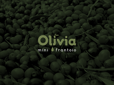 Olivia brand branding design label logo logotype olive oil typography vector vectors