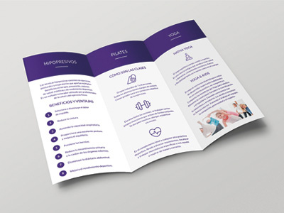 Brochure 'Mzen' branding brochure corporate image flyer folleto graphic design trifold tríptico