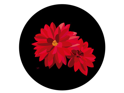 Red Dhalias design dhalias draw flowers graphic graphic design graphic illustration illustration picture