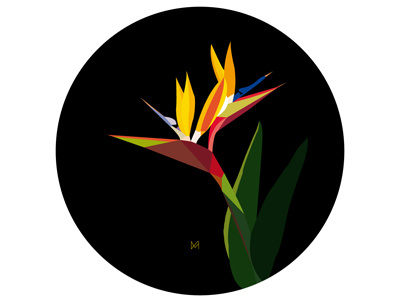 Bird of Paradise art design draw flower graphic graphic design graphic illustration illustration picture plant tropical