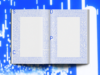 Outsiders001 blue book columns graphic letter margin page paragraph reading text type typography