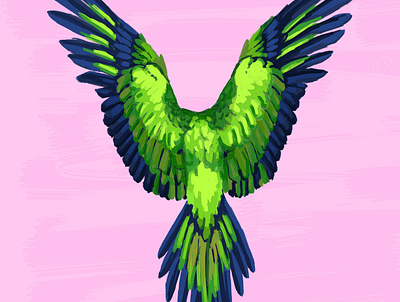 Parrot animal bird bright colorful illustration parrot pop art