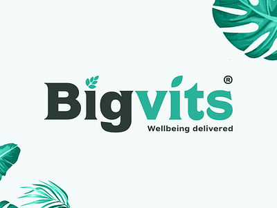 Bigvits logo brand design font logo logodesign minimal simple