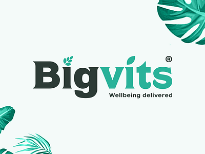 Bigvits logo