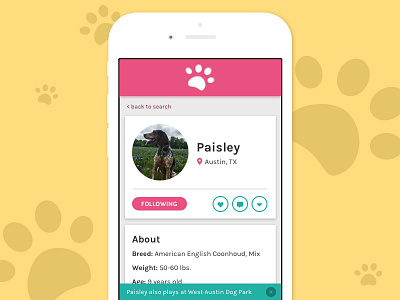Daily UI - Day 6 - User Profile 006 app daily ui dailyui day 6 dog app dogs notification banner profile social social media user profile