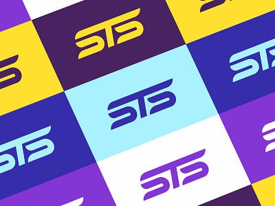 STS Identity + Color Palette blockchain brand color crypto design identity logo mark monogram palette sts