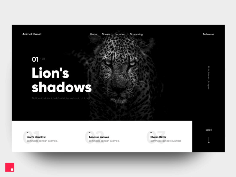Animal Planet interaction design invision studio made with studio page transition ui ux