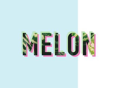 Melon