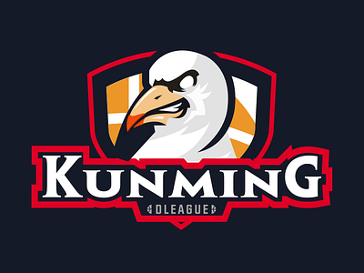 diamond basketball league KUNMING-logo basketball logo red headed gull vector