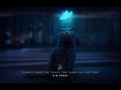 THE BRIGHT CAT abdallahhelmy behance cat creative designers dribbble egypt photoshop