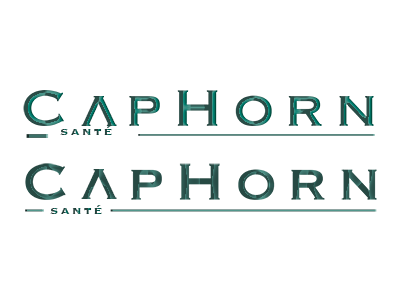 Caphorn logotype design inspiration logotype typography