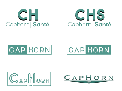 Propositions Logo Caphorn Dribbble design inspiration logotype typography