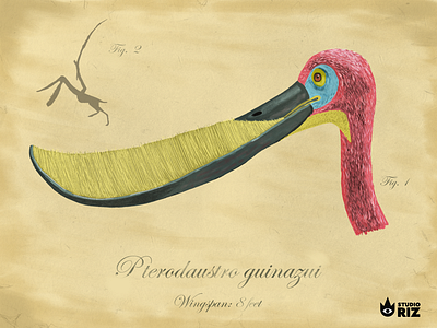 Pterodaustro Guinazui digital art dinosaurs illustration pterosaurs