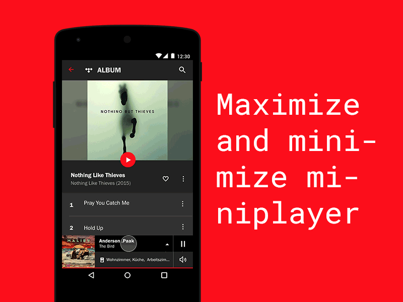 Hifi Multiroom System App miniplayer mobile app multi room audio ui animation