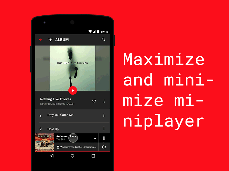 Hifi Multiroom System App app miniplayer mobile multi room audio ui animation