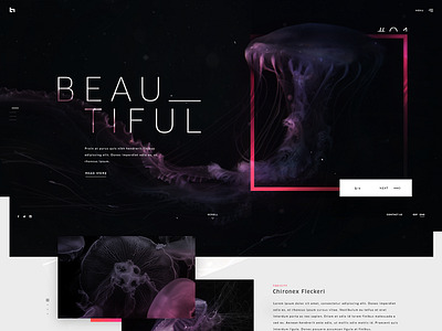 Jellyfish color design digital jellyfish layout photography type typograhphy ui web