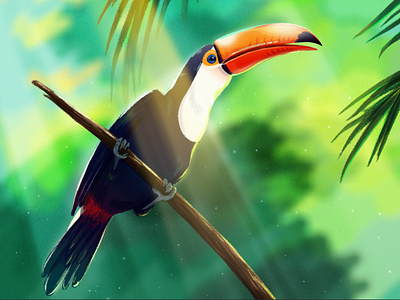 Toucan bird brush color illustration jungle light toucan