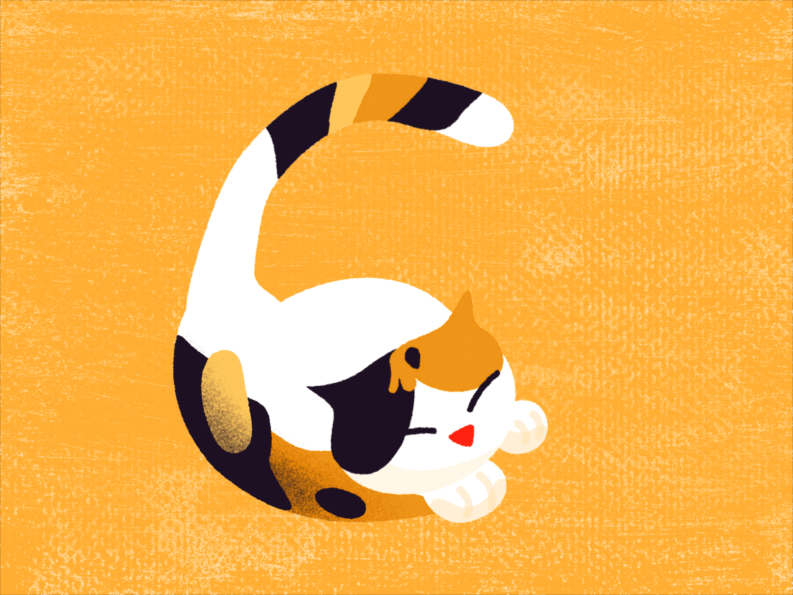 0-30 Daily Project cat illustration motion texture