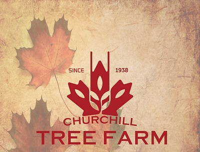 CHURCHILL TREE FIRM animation branding creative graphic design logo mapple tree ui