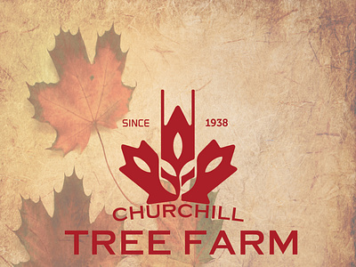 CHURCHILL TREE FIRM