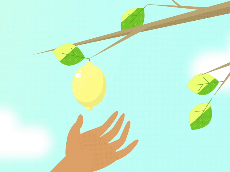 Lemon picking animation design gif illustration lemon motion motion graphics plants