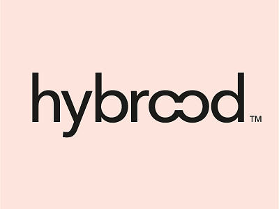 Hybrood logo agency brood connected connection design hybrid logo sans serif