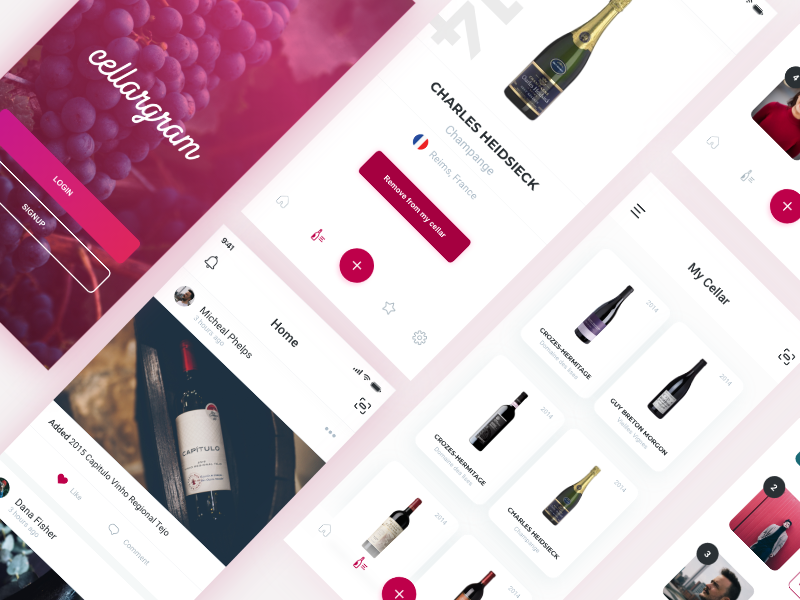Wine Cellar App UX UI by Paola Ascanio on Dribbble