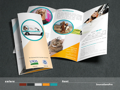 Brochure tri-fold + two sides branding design graphic design print