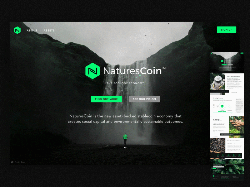 Natures Coin Website landing page layout scroll ui ux website