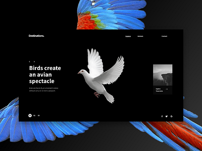 Destinations - Screens animals birds exhibition fly interface learning nature sky ui web