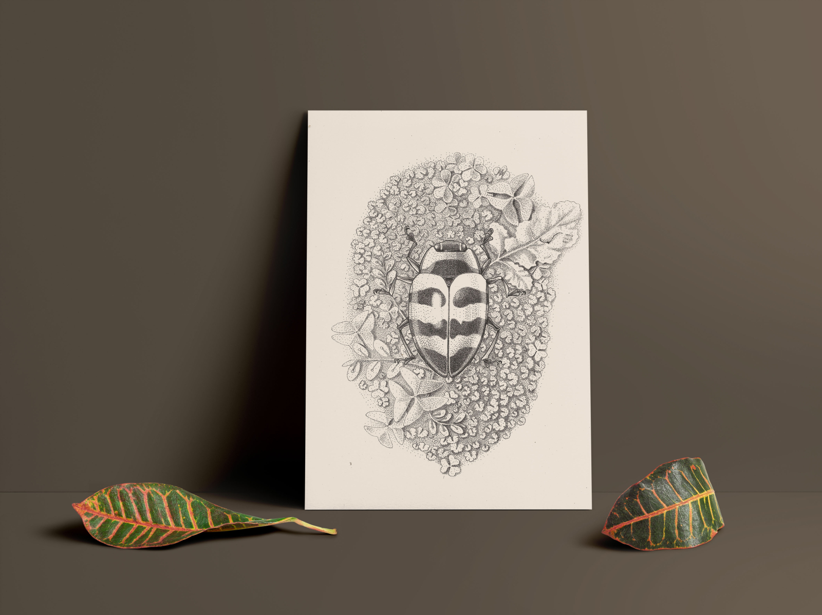 Stippling insects series by Alejo Mosquera on Dribbble