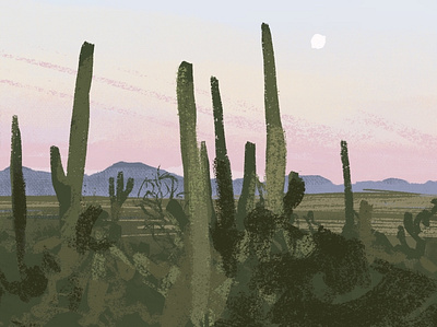 Cactuses digital drawing graphic design illustration landscape