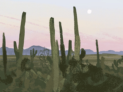 Cactuses