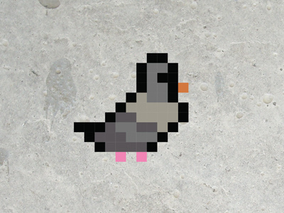 Pigeon 8-bit animation pigeon