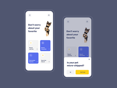 Pet Tracking App app branding design icon ui ux