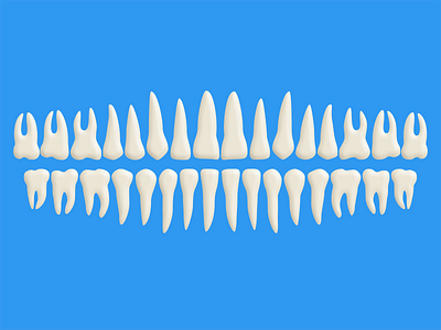Free Teeth (PSD)