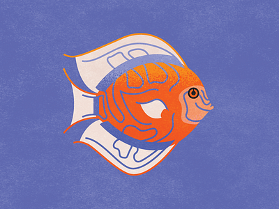 Discus Fish Illustration by Jodi Lee Carlson on Dribbble