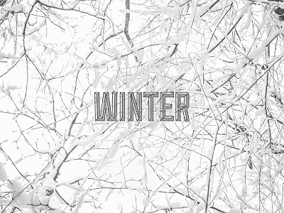 winter cold photo poster snow type winter